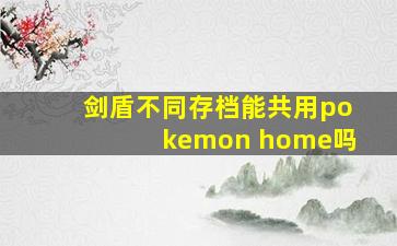 剑盾不同存档能共用pokemon home吗